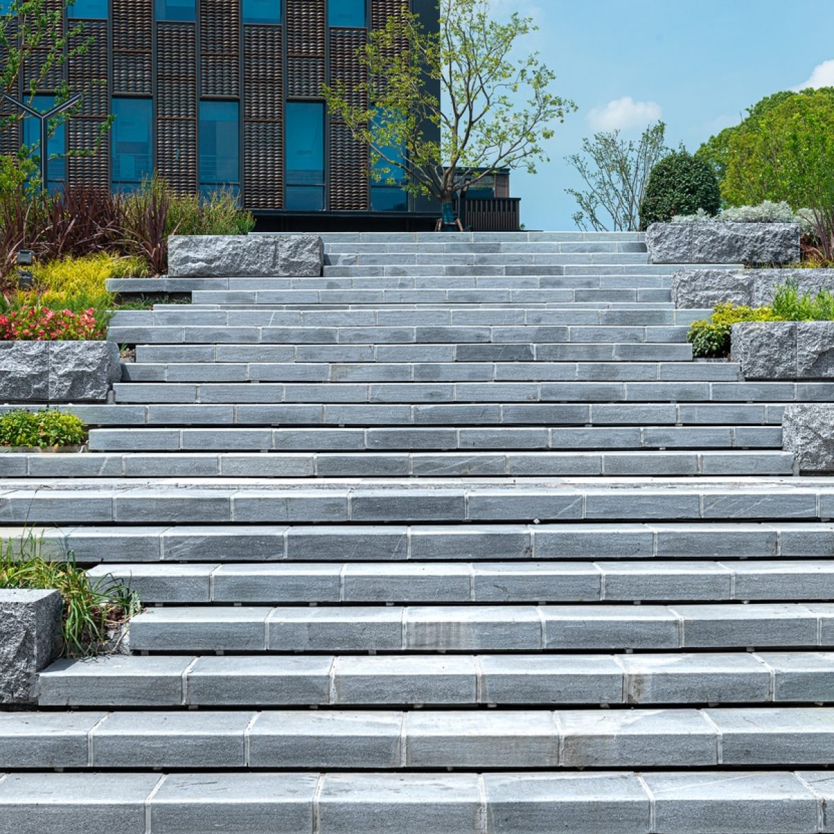 Stone steps leading to an urban building with greenery growing on both sides